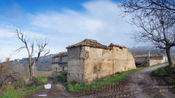 Al Zawiya Trail 2015