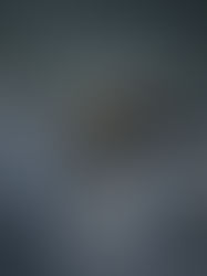 Mastering the Balance: Unveiling Beaver Management Strategies for Harmony and Habitat