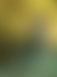 Debunking Common Industry Myths about Nuisance Animal Trapping and Pest Control