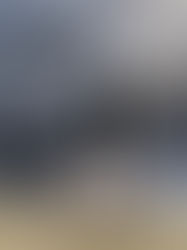 Canada Geese Pooping All Over My Lawn, Send Help!