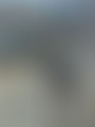 Fly Away Pests! Keeping Nuisance Birds in Check and Property Intact