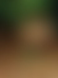 Groundhog Tearing Up Your Lawn? Tips On What To Do Next