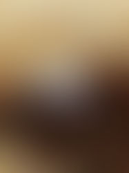 Unearthing The Truth About Moles: Prevention And Control Strategies