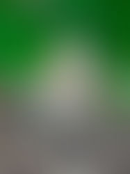 Rabbits Are Cute, But There's Nothing Cute About The Damage They Can Do