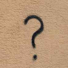 Can I Kill Nuisance Animals?