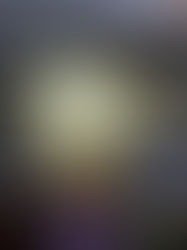 How Did A Groundhog Get In My Basement?