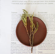 Brand collateral creation for impact organisations