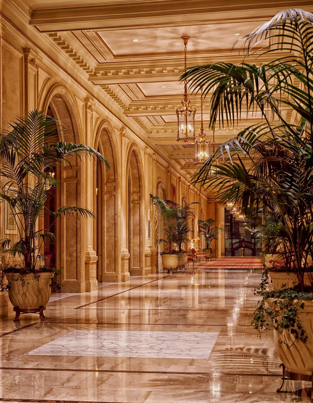 Definition of a palace hotel