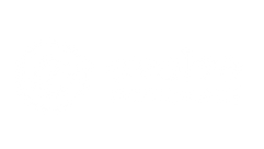 Evolve.png