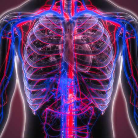 O que faz um Cirurgião Vascular?