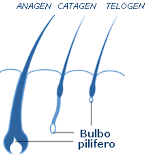 peli superflui gambe