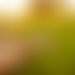 Come ridurre lo stress: da nemico invisibile a benessere ritrovato