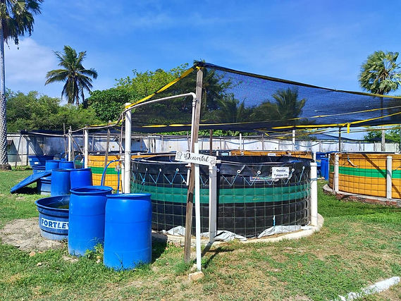 WhatsApp Image 2024-01-26 at 18.25.02(5).jpeg