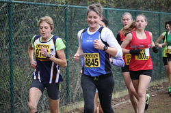 Cross Zandhoven 2016