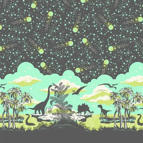 Roar -  Meteor Shower Storm - Double Border