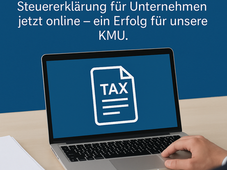 Elektronische Steuererklärung für Unternehmen im Kanton Zürich – ein längst überfälliger Schritt