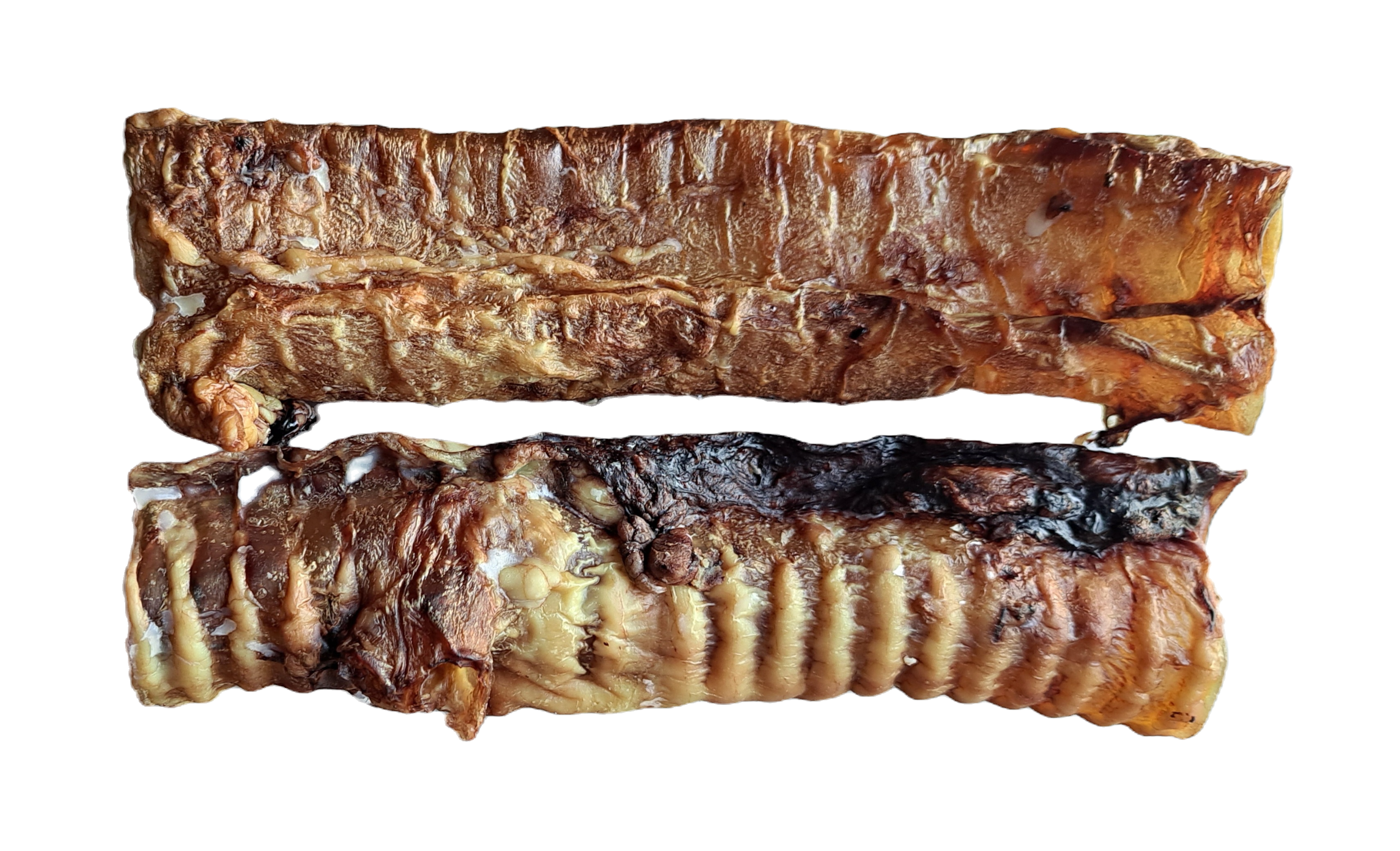 Trachea-Tubes - 2x 8" Beef Trachea Tubes