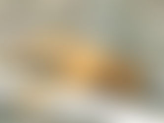 Volunteering in the Tropics