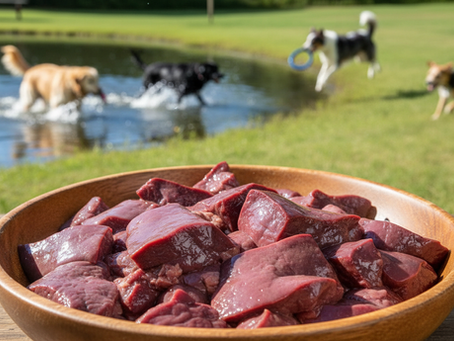 The Nutritional Perks of Healthy Beef Liver Treats for Dogs