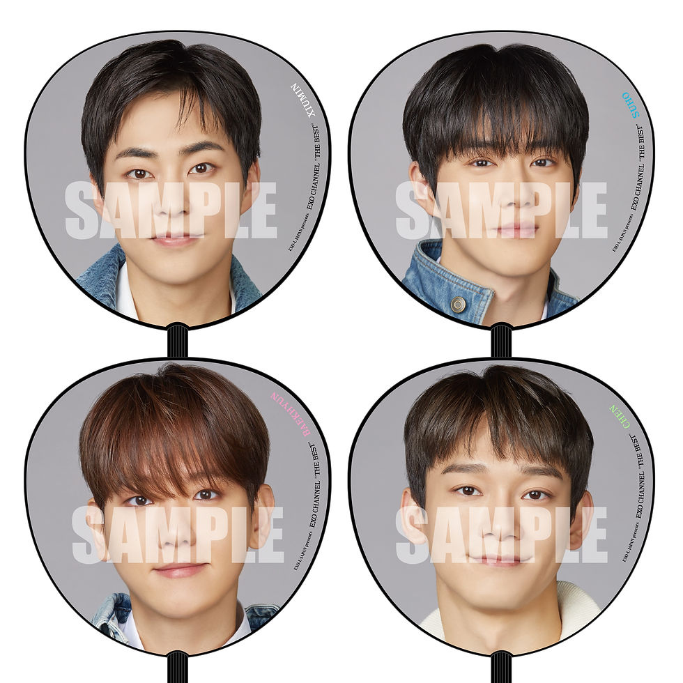 Miniatura: EXO "EXO CHANNEL THE BEST" PICKET NUEVO