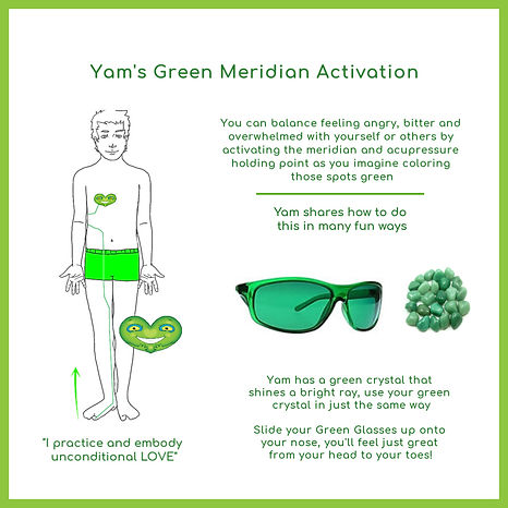 Podz Meridian Media Yam Glasses.jpg