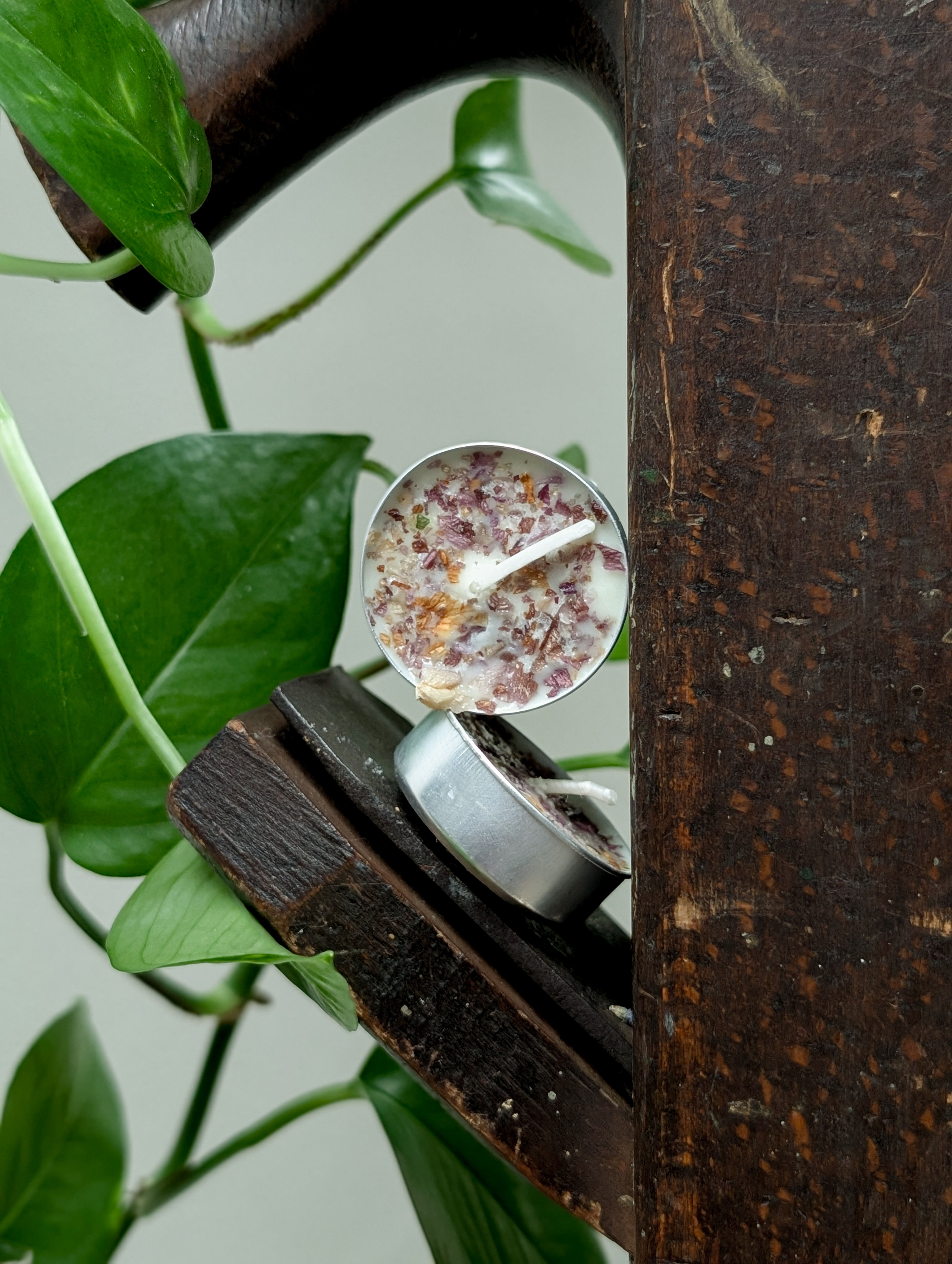 Jasmine Soy Wax Tealights