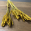 Thumbnail: Gorgeous Yellow Dried Wheat