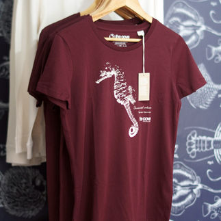 Our seahorse t-shirt