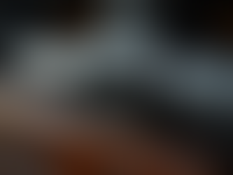 Understanding Firearm Bolts and Bullets: The Backbone of Your Firearm