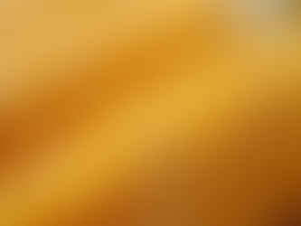 Buying Quality Deer Corn for Sale: Your Ultimate Guide