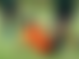 運動中に足がつらなくなる方法