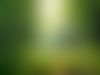 The Importance of Sustainable Living in Today's World