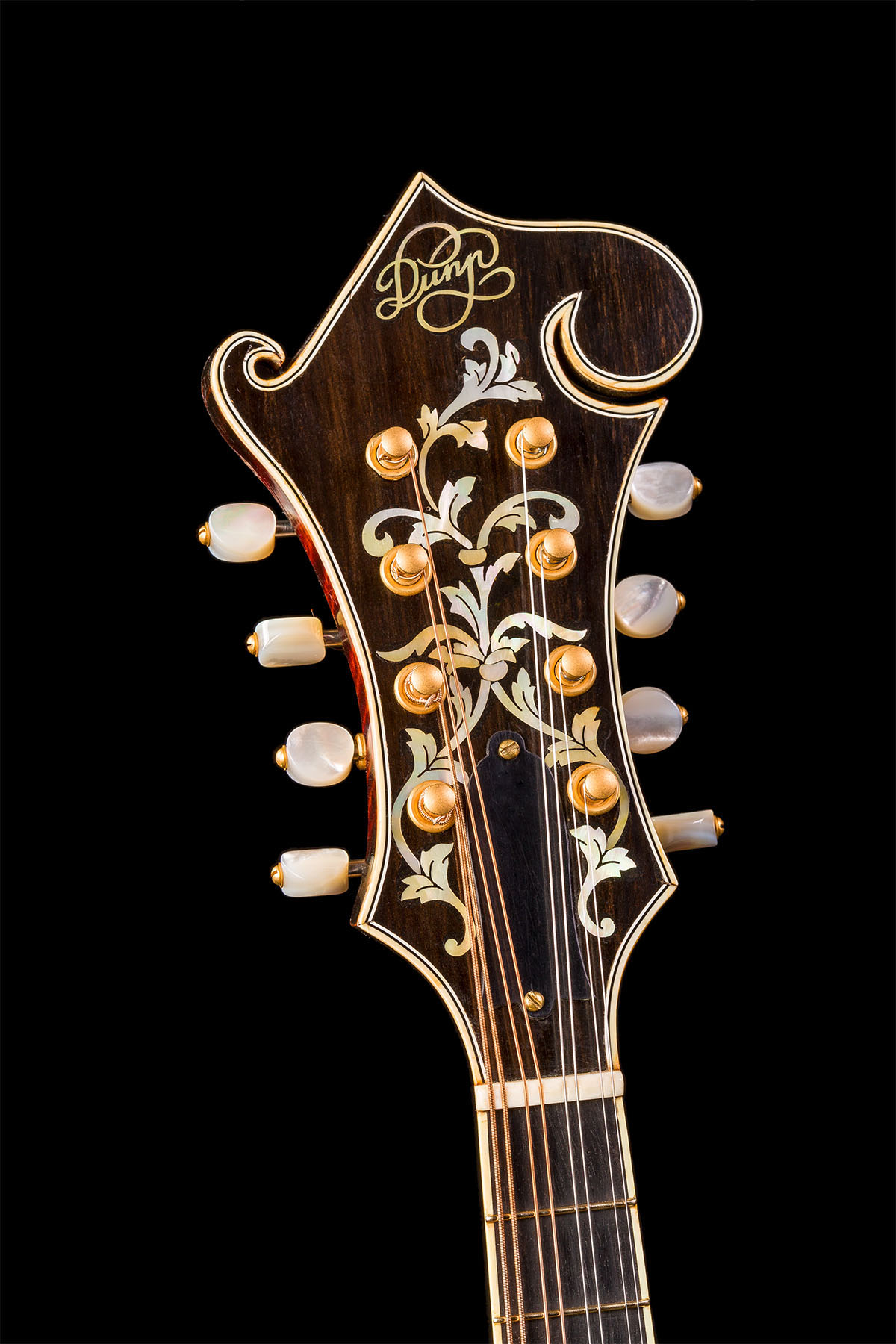 Gallery Dunn Mandolins