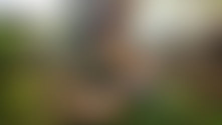 #79 Umu ist Mmmmhhh!