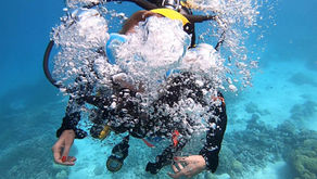 #70 Cairns und das Great Barrier Riff