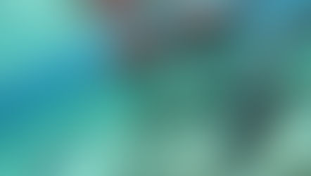 #104 Ab nach Caye Caulker, Belize