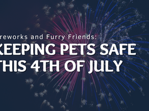 Fireworks and Furry Friends: Keeping Pets Safe This 4th of July