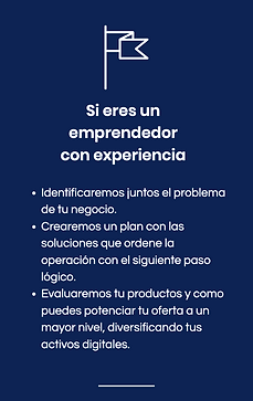Emprendedor avanzado