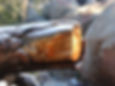 Cut log end with snow