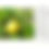 Thumbnail: Dead Tree Elegies: New Vision for a Changed World