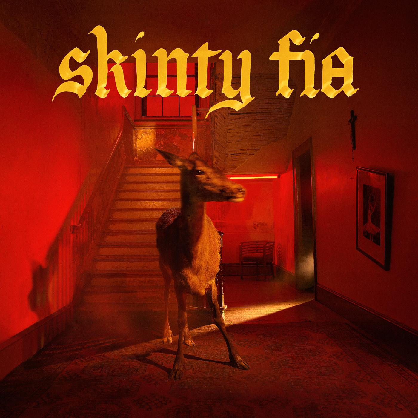 Fontaines D.C. - Skinty Fia (Limited Edition Opaque Red Vinyl)