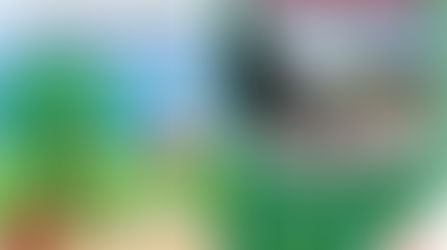 Participación en Feria de Educación Ambiental