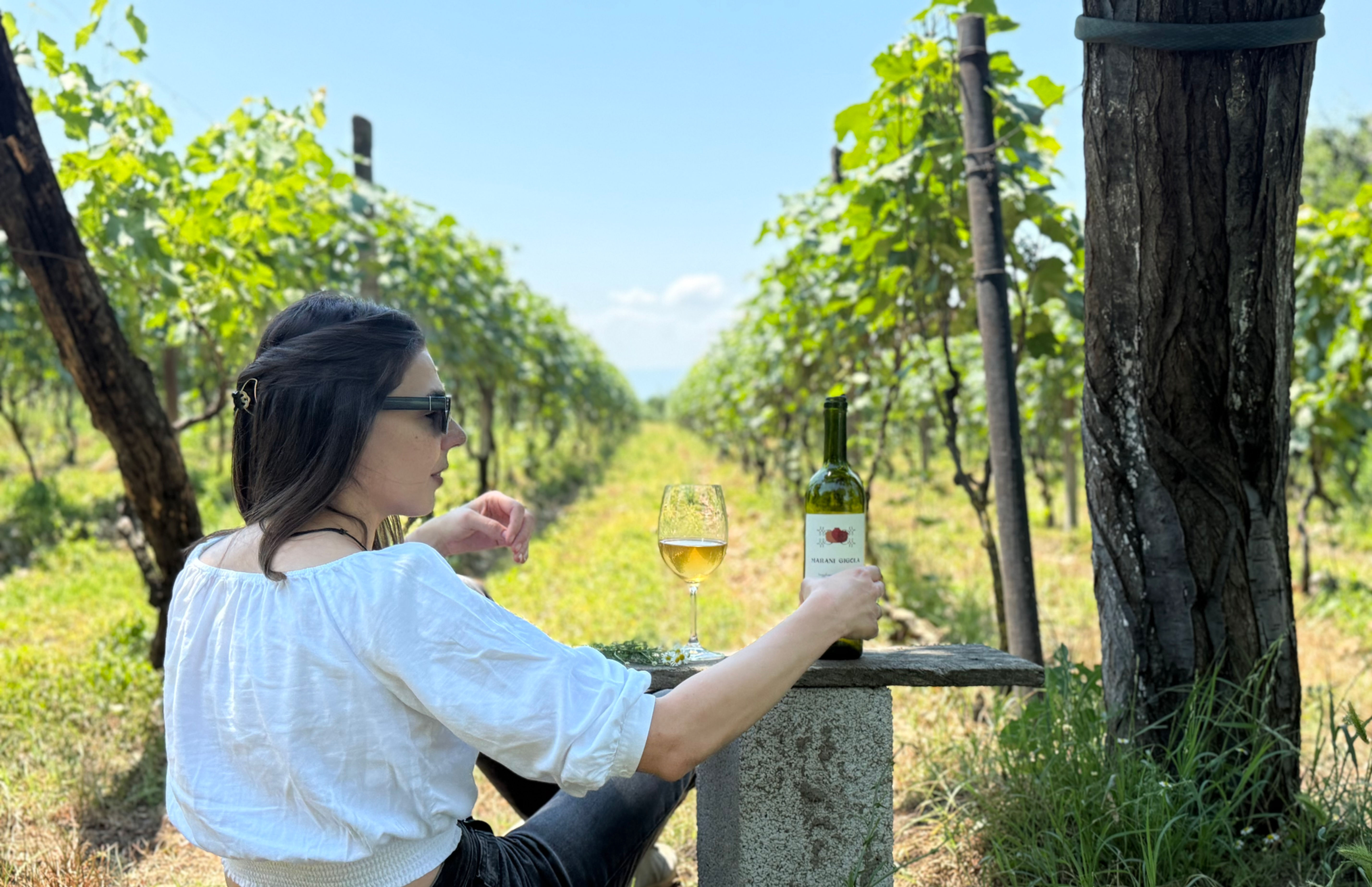 Self-Guided Wine Pilgrim