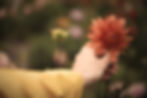 Image by Liana S