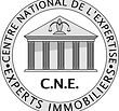 logo-CNE fond blanc Grande taille.jpg