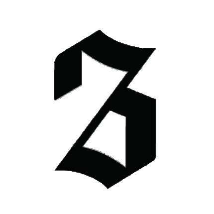 spinning logo 36th Chamber