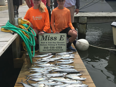 Half Day Charters Crushing It