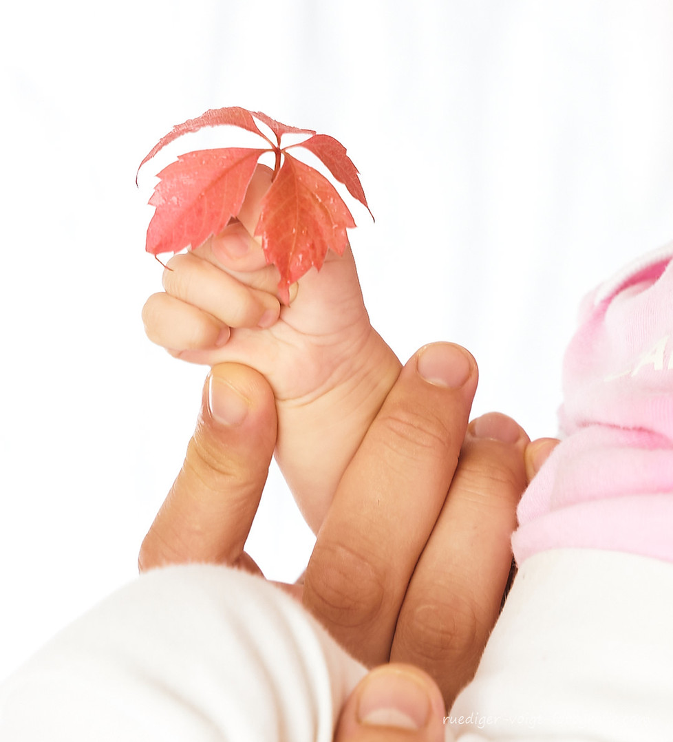 Babyfotografie Babyfotograf Kinderfotografie Dresden Rüdiger Voigt