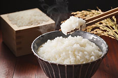 ご飯
