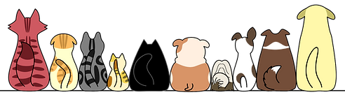 犬と猫の並んでいるイラスト